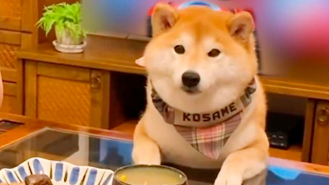 バレバレだった