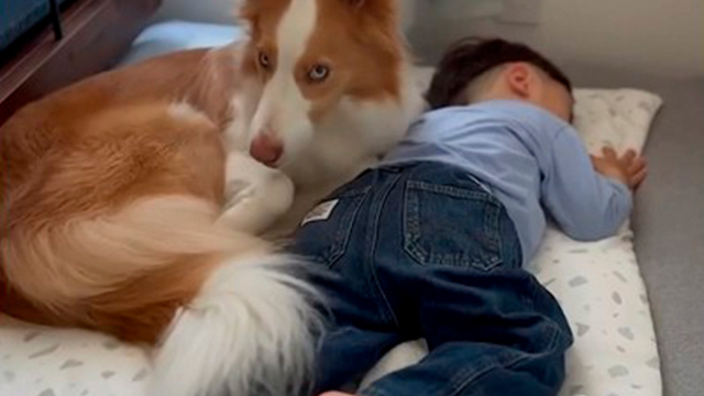 起こしちゃダメだよ！