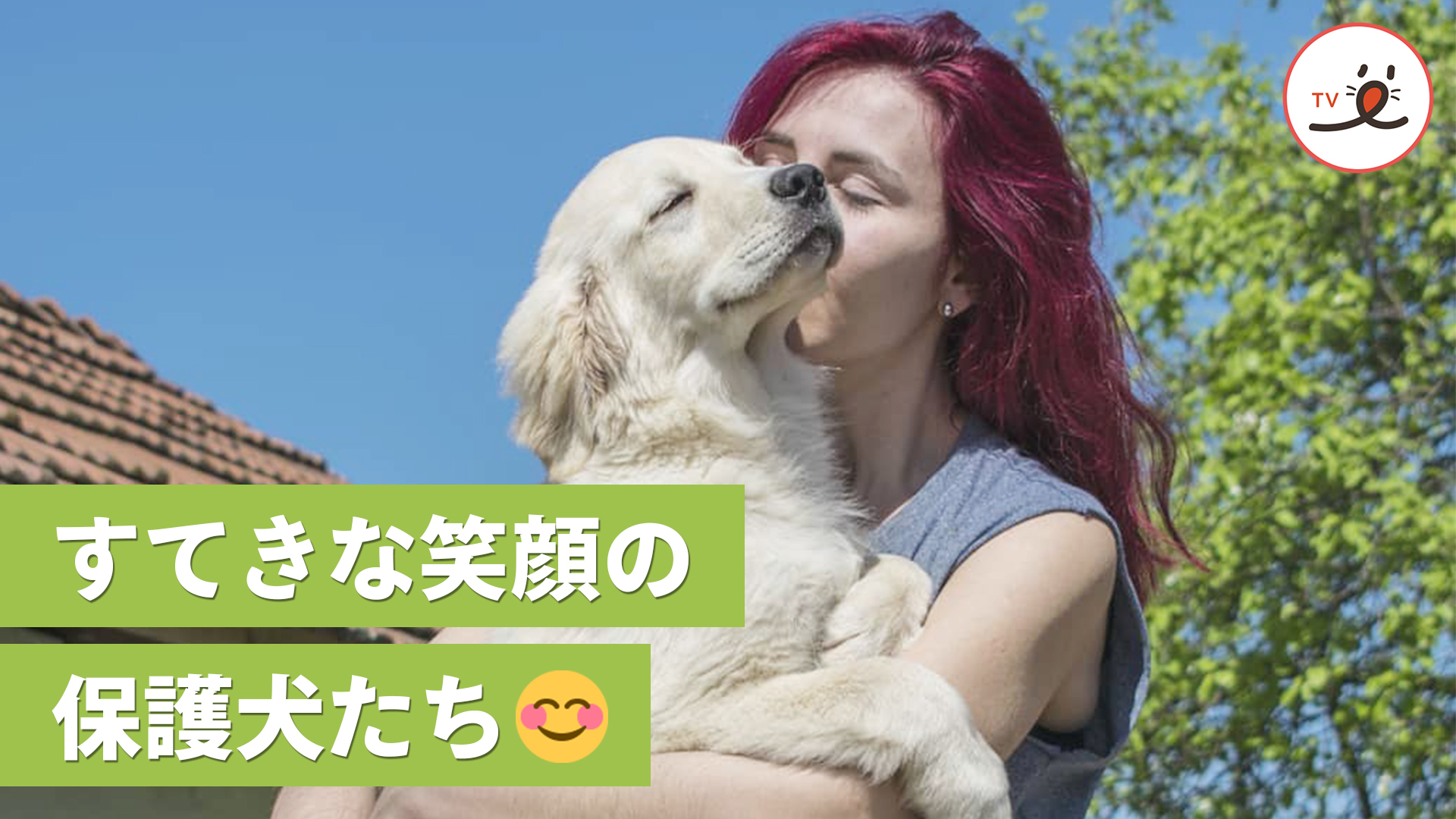 ここは保護犬たちが笑顔になれる場所♪