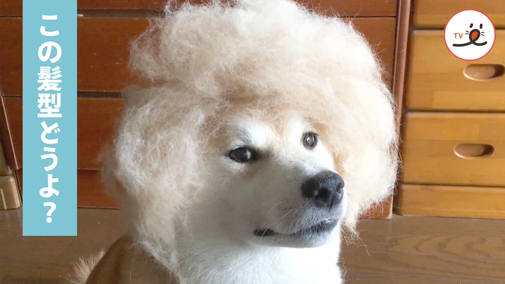 これが今、流行のヘアスタイル！？