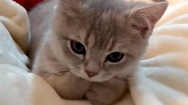 おてて可愛すぎひん？