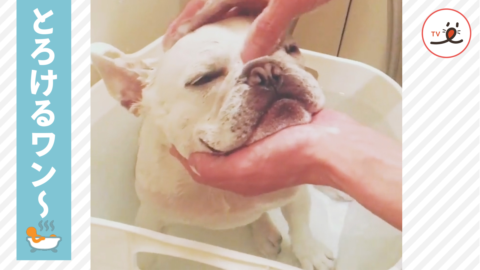 フレブルさんの最高なバスタイム！