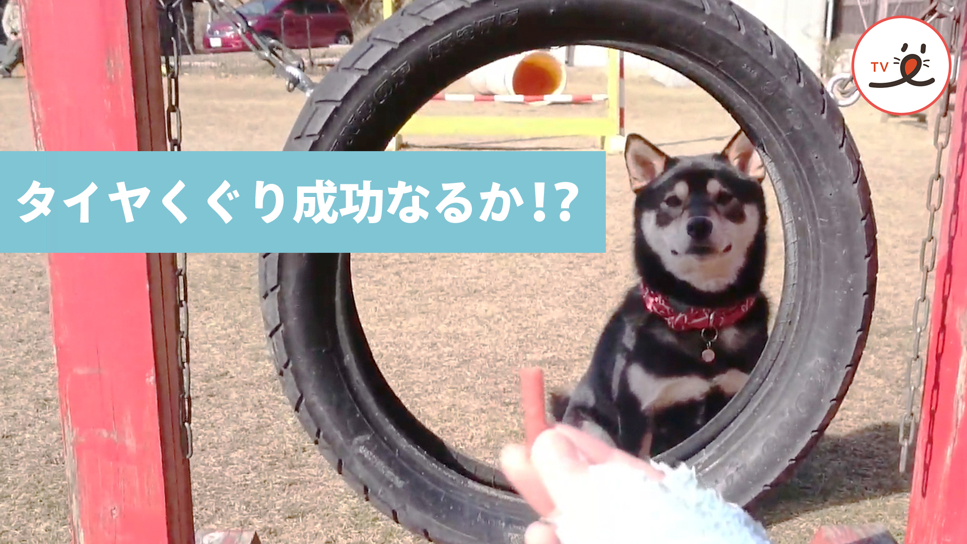 芸の練習中……そうくるか！笑