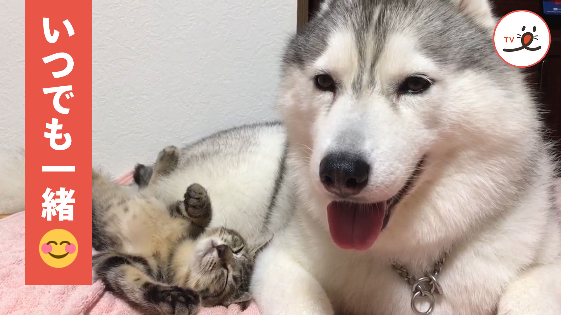 種族が違っても家族♡ 凸凹コンビのひととき