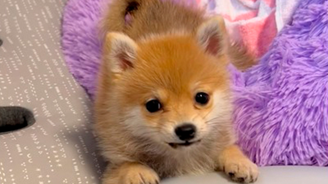 ママに怒られちゃった