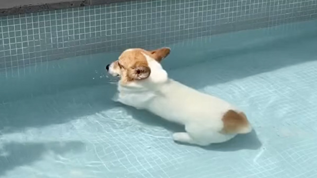 取りたくても…取れない…