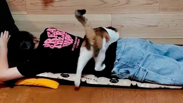 お姉ちゃん早く起きないかな