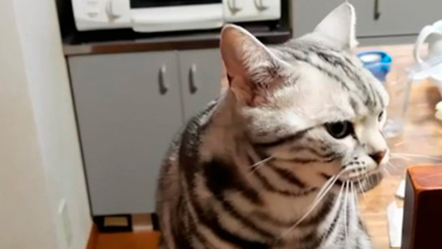 まるもさんがやっていなかったこと