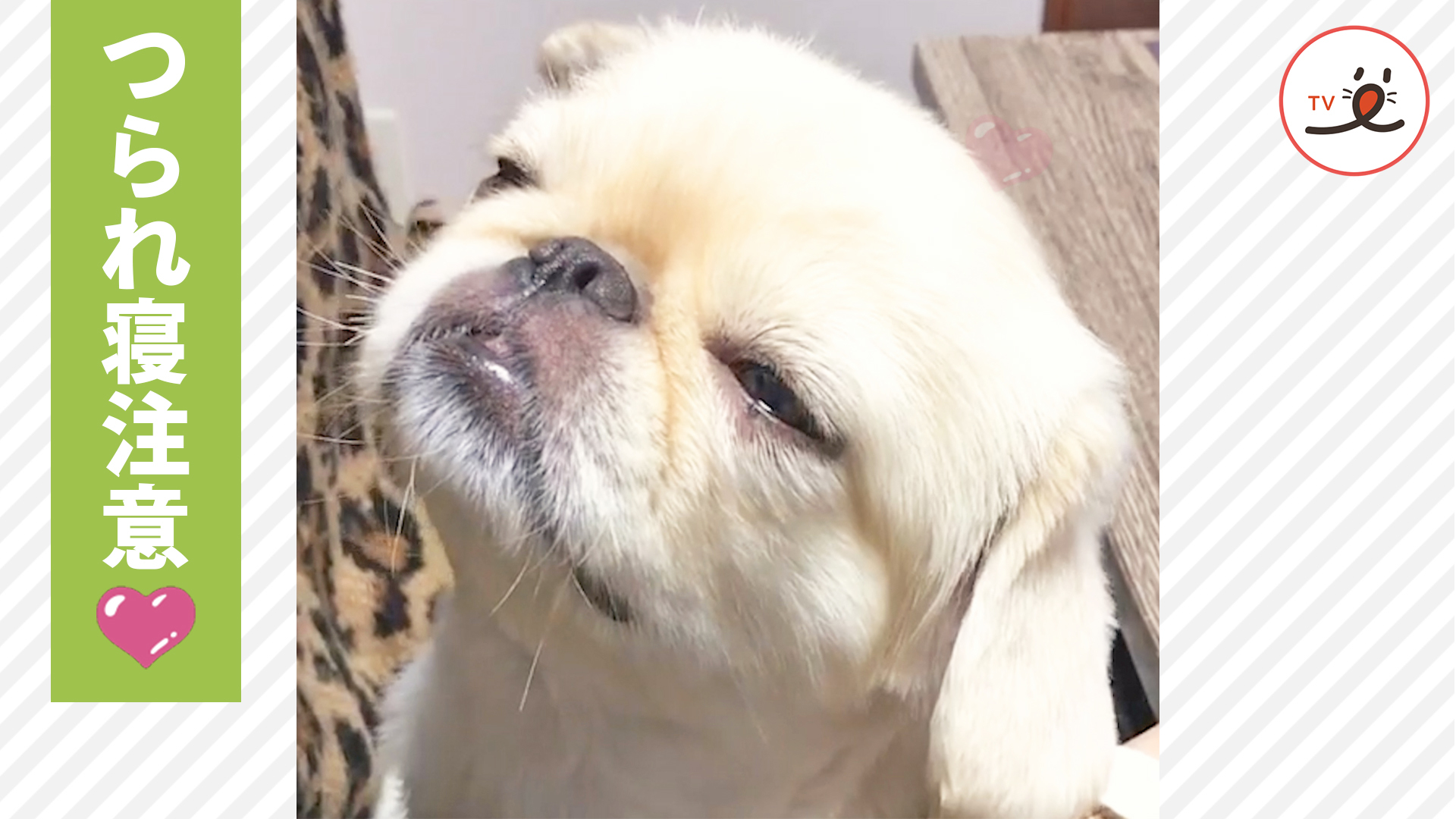 究極のうっとり顔♡