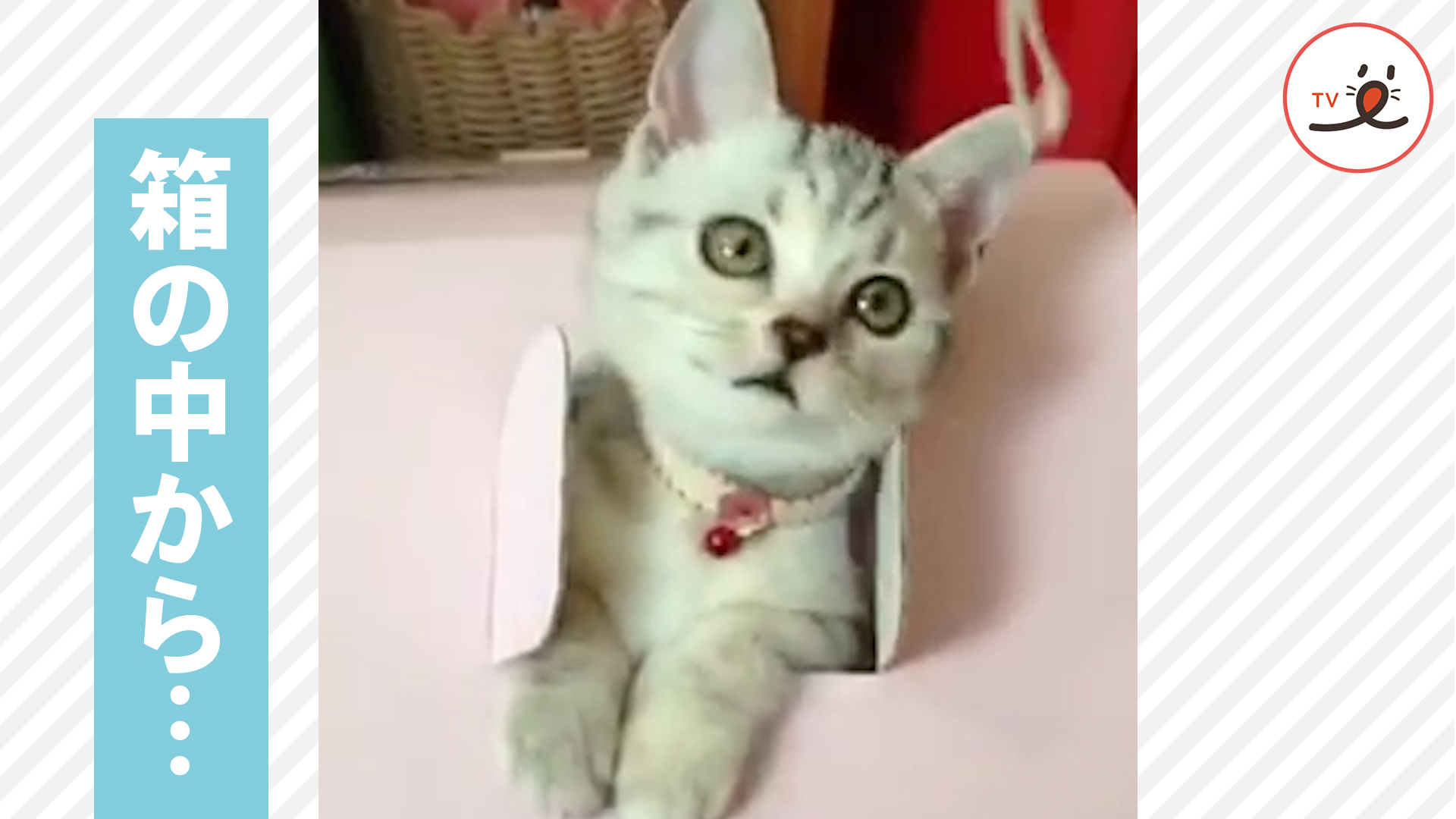 窓は開けたら閉める！