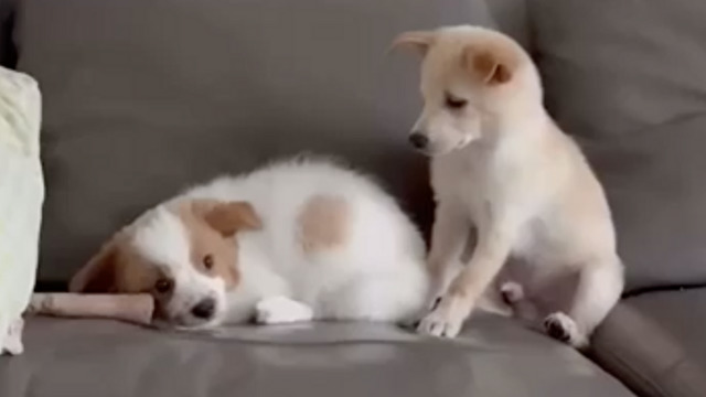 ふたりの攻防戦