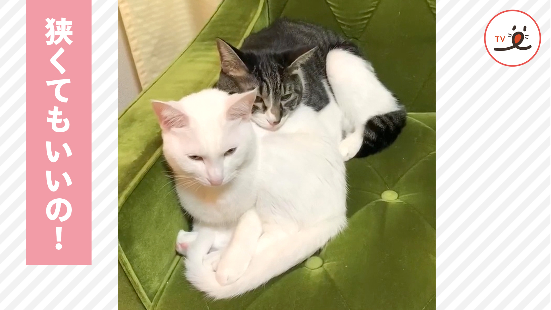 狭い方がいい！ その理由は……