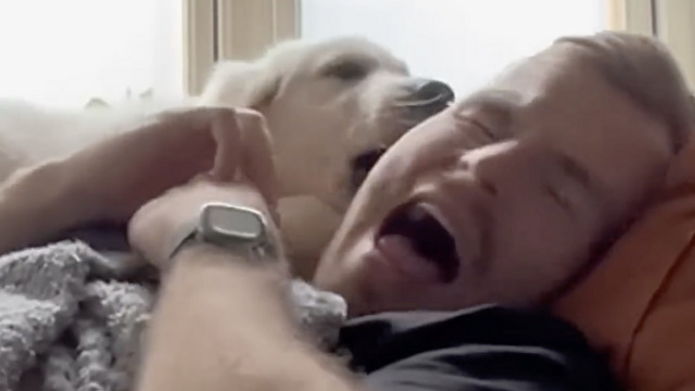 これが子犬との生活！