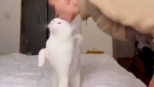 猫さんのキス催促♡