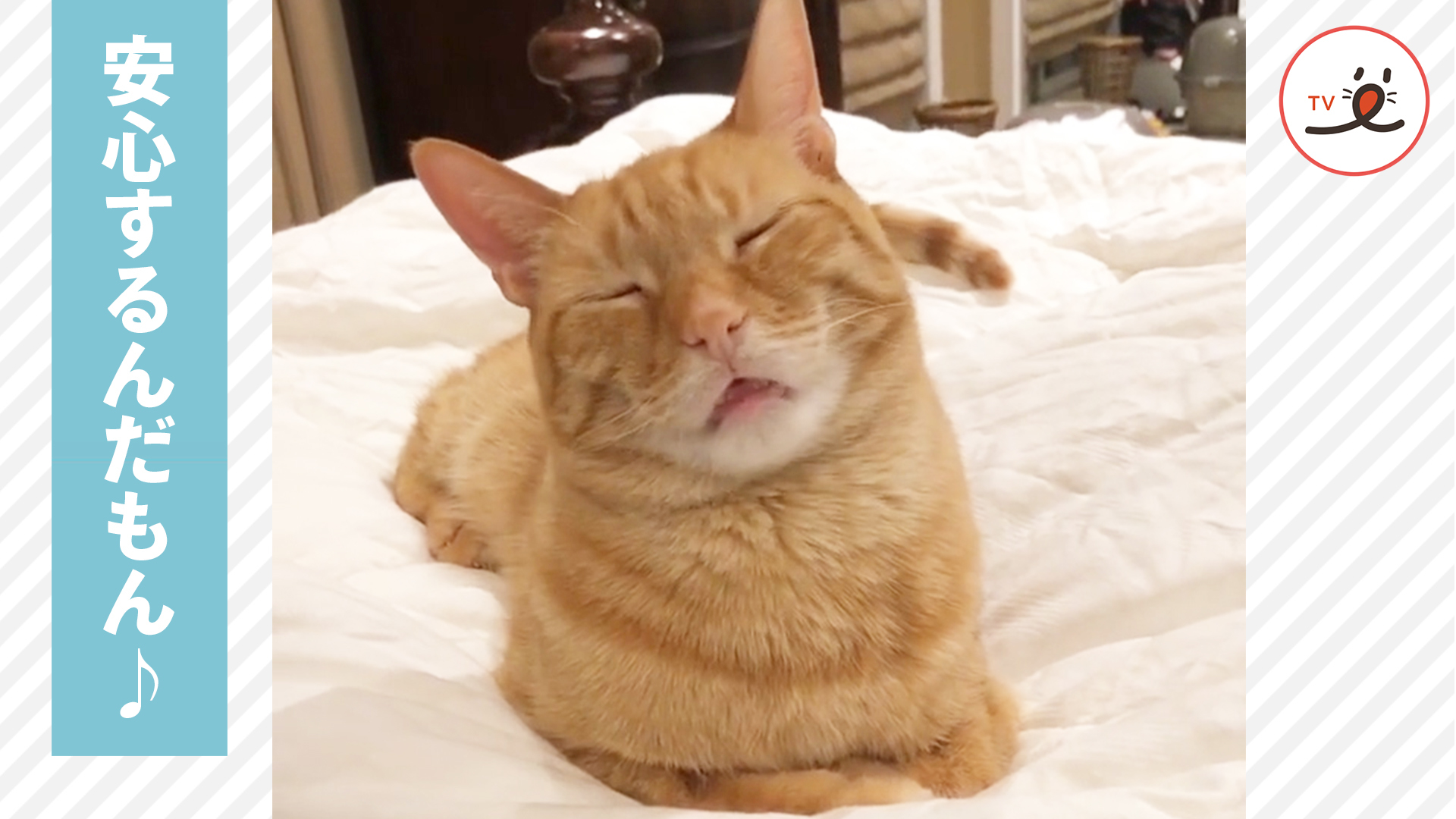 そんなに眠いなら、寝てもいいんだよ？