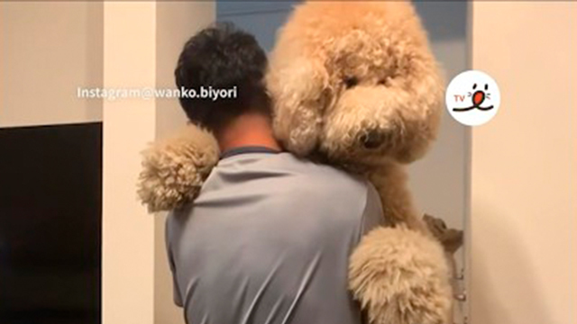 抱っこが羨ましい末っ子ワンコが…