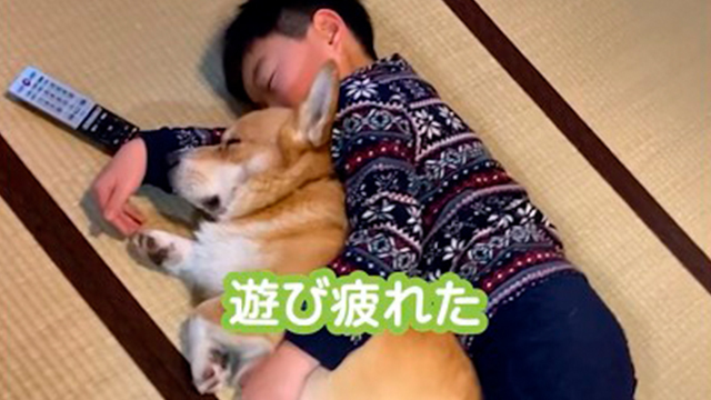 守りたい日々♡