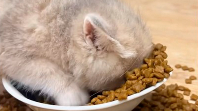 おいしすぎて埋もれたい