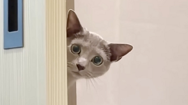 なぜか好奇な目で見られてた