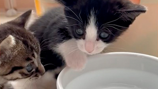 初めてのお水に挑戦！