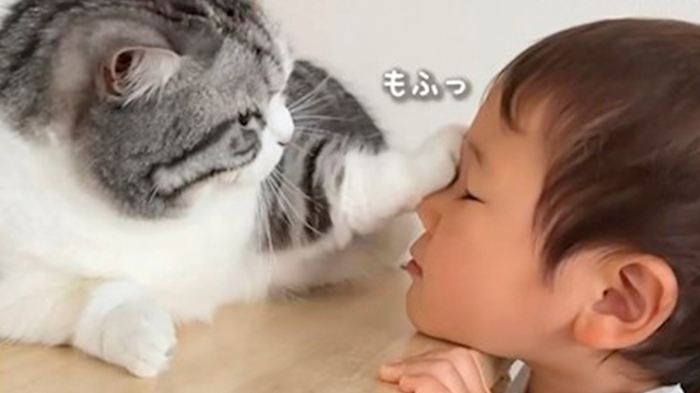 高さがちょうどいいふたり