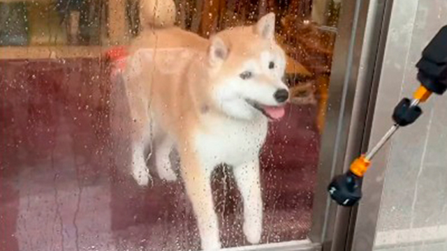 ワクワクから突然のスン