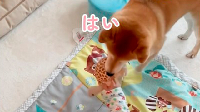 仲直りのプレゼント