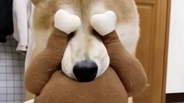 なぜか視界が…