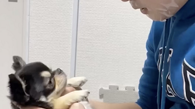 パックしながら言われても…