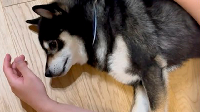 距離感を大事にしたい柴さん