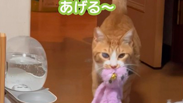 寝る前にする事