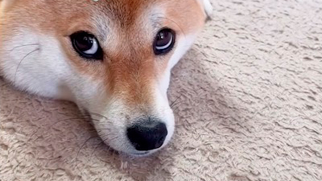 持たないと食べれない