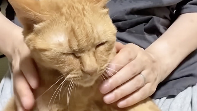 励ましているように見えるが…