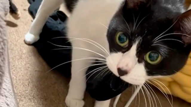 まるでお母さん♡