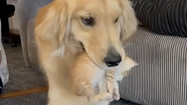 見てみて～！私のかわいい弟