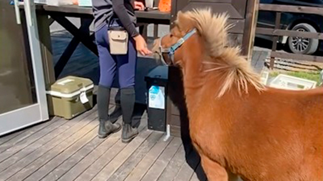 お馬さん「ゴミ箱はいらん！」
