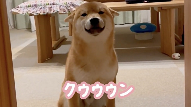 ピコピコ飛行機が通るよ