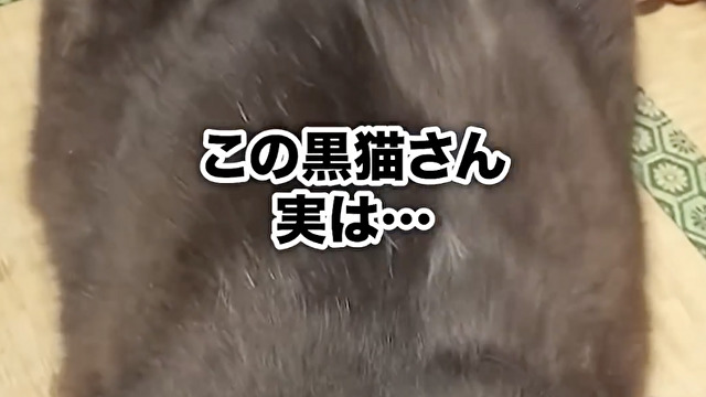 ブラッシングすると…