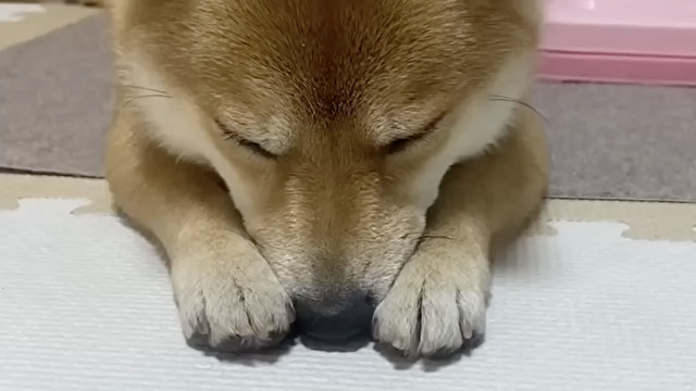 急に拗ねてる