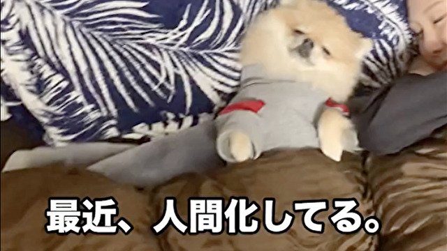人の場所で寝ないでください
