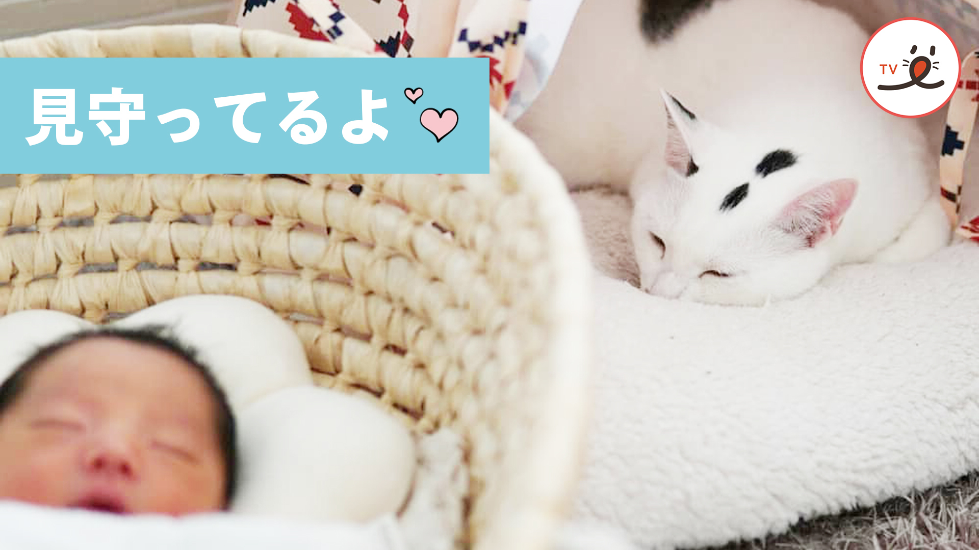 お姉ちゃんニャンコの本音♡