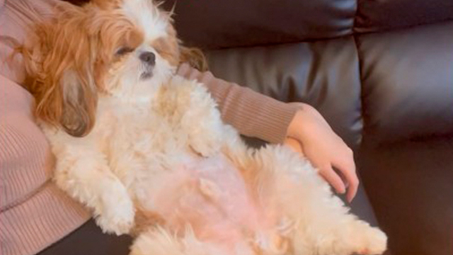 足パタパタでダラダラ