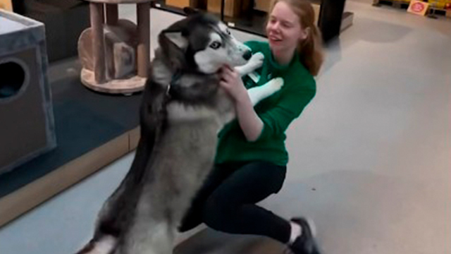 ワタシのお店紹介するね