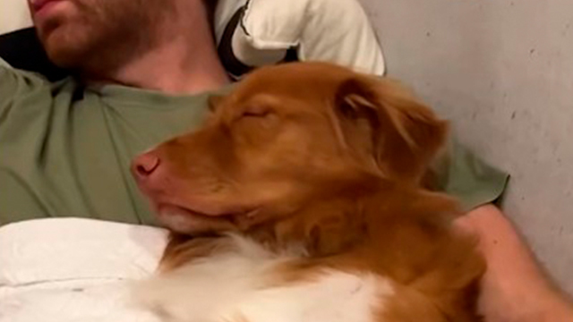 いつも側にいてくれる