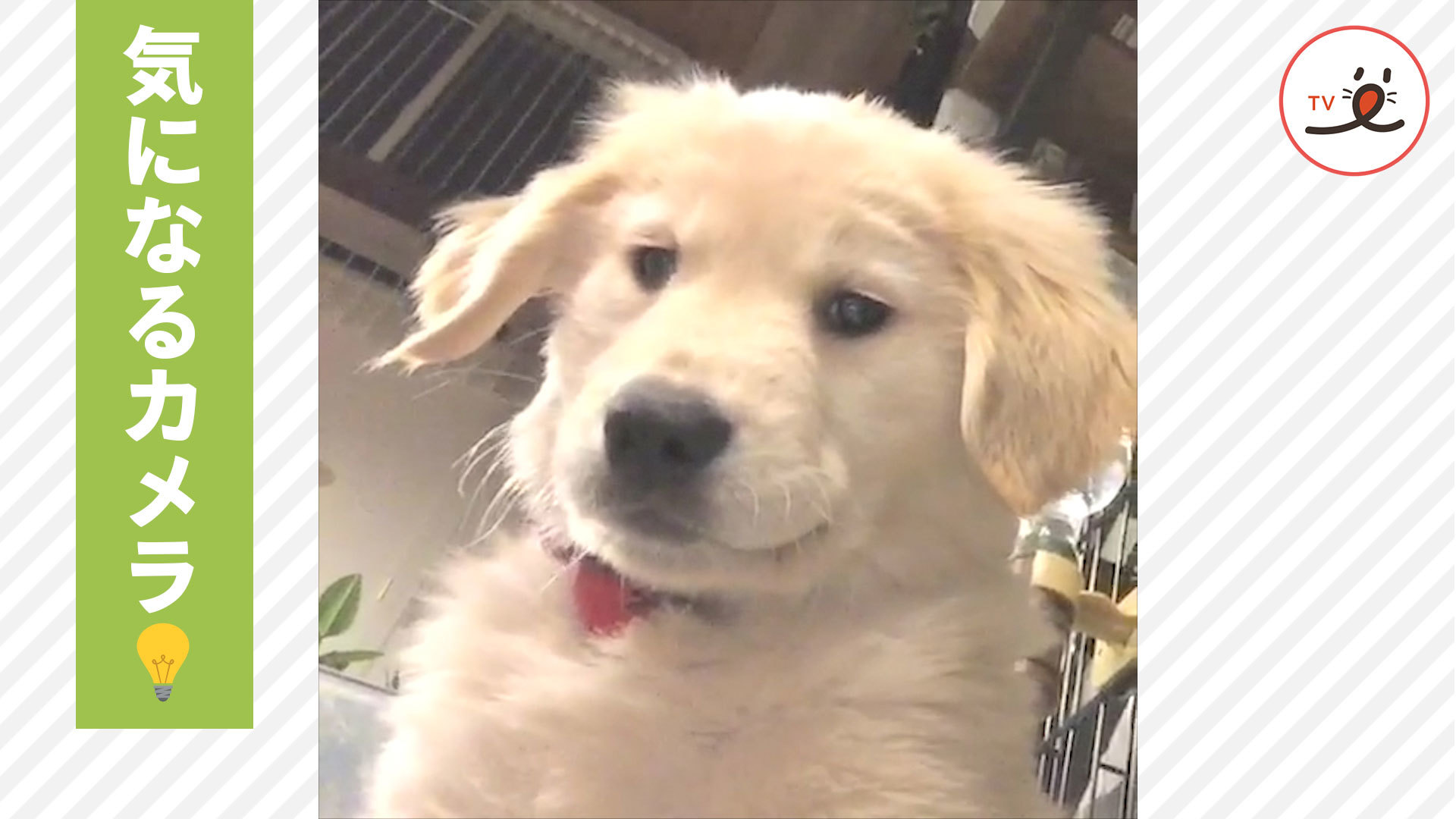 このアングルでも放たれる可愛さ！