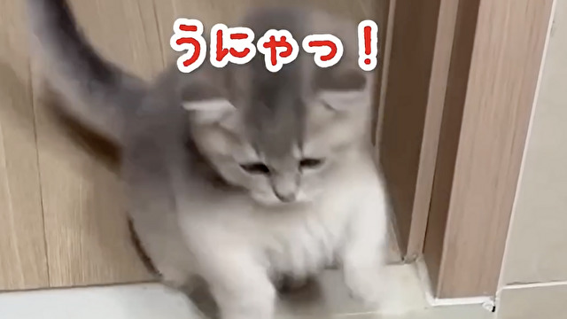 確実にノックアウトされるパンチ
