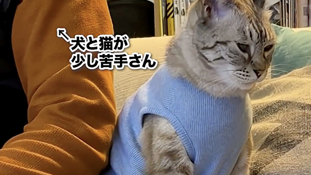 仲良くなりたいねん