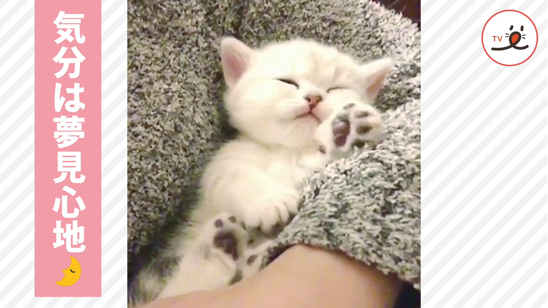 眠れない夜に見たらスーッと眠れそう！