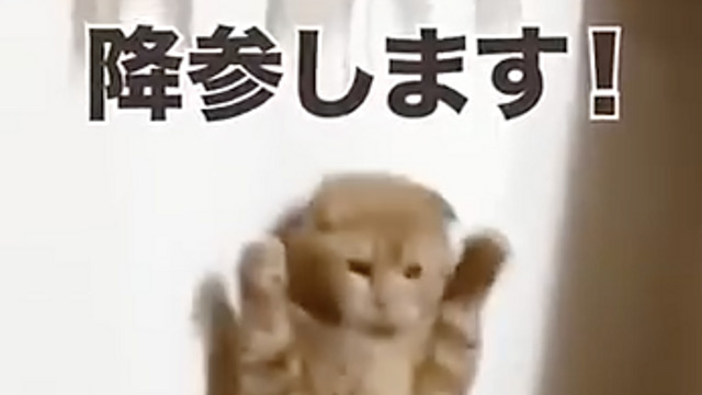 ボクの負けです