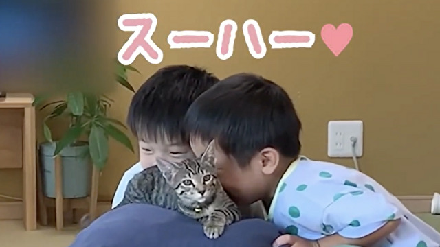 猫吸いにハマる７歳と５歳